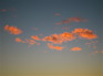 IMG_8732.JPG