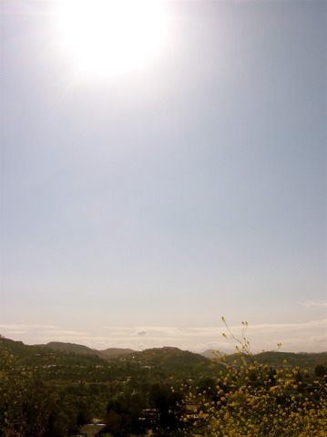 Loading Image