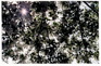 trip039